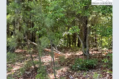 133 Steeple Chase Trail, McGrady, NC 28649 - Photo 4