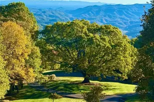 733 Dogwood Ln, Blowing Rock, NC 28605 - Photo 4