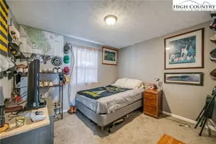 194 Carriage Lamp Ct, Boone, NC 28607 - Photo 12