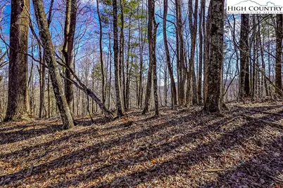 Tbd Little Tree Lane, Banner Elk, NC 28604 - Photo 4