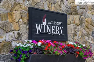 16 Camp Eagle Loop, Banner Elk, NC 28604 - Photo 40