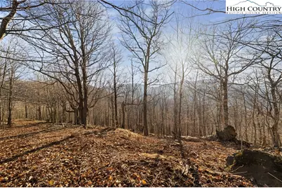 Tbd Lauren Lane, West Jefferson, NC 28694 - Photo 8