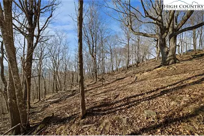 Tbd Lauren Lane, West Jefferson, NC 28694 - Photo 12