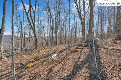 110 Blacksmith Circle, Elk Park, NC 28622 - Photo 6