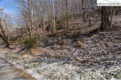 Lot 7 & 8 Happy Hunt Drive, Grassy Creek, NC 28631 - Photo 12