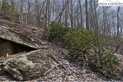 Lot 7 & 8 Happy Hunt Drive, Grassy Creek, NC 28631 - Photo 16