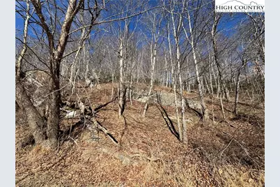 Lot 7 & 8 Happy Hunt Drive, Grassy Creek, NC 28631 - Photo 6