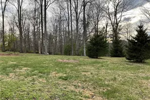 3162 Chestnut Grove Church Rd, Sparta, NC 28675 - Photo 42