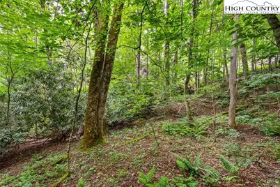 Lot 201 Twin Rivers Drive, Boone, NC 28607 - Photo 6