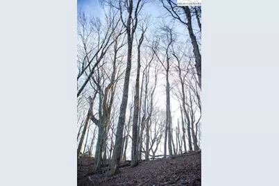 Lot 22 Mountain Song Road, Blowing Rock, NC 28605 - Photo 16