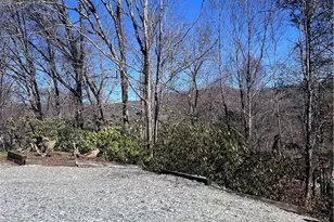 165 Briarcliff Rd, Banner Elk, NC 28604 - Photo 4