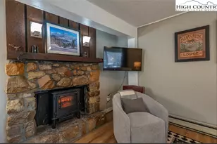 165 Briarcliff Rd, Banner Elk, NC 28604 - Photo 12