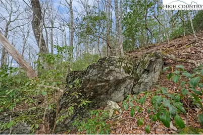 Lot 8 Heavenly Mountain Drive, Boone, NC 28607 - Photo 10