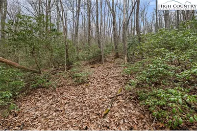 Lot 8 Heavenly Mountain Drive, Boone, NC 28607 - Photo 8