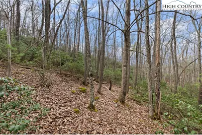 Lot 8 Heavenly Mountain Drive, Boone, NC 28607 - Photo 12