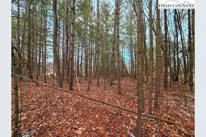 51 Peaceful Meadows, Piney Creek, NC 28663 - Photo 14