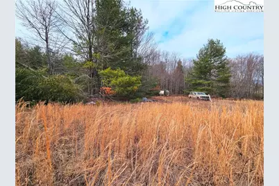 51 Peaceful Meadows, Piney Creek, NC 28663 - Photo 10