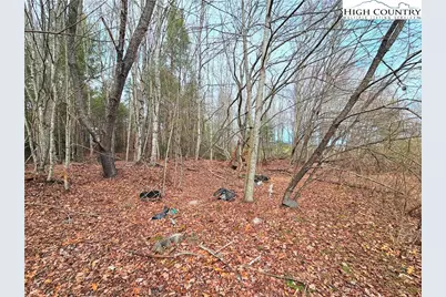 51 Peaceful Meadows, Piney Creek, NC 28663 - Photo 8