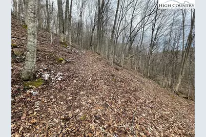 1275 Big Windfall Road, Lansing, NC 28643 - Photo 36