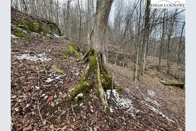 1275 Big Windfall Road, Lansing, NC 28643 - Photo 40