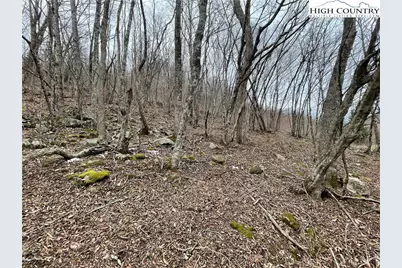 1275 Big Windfall Road, Lansing, NC 28643 - Photo 30