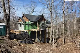 102 Blackberry Trail, Beech Mountain, NC 28604 - Photo 1