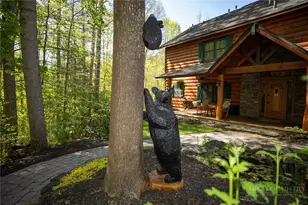 315 Lazy Bear Trail, Vilas, NC 28692 - Photo 4