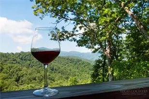 315 Lazy Bear Trail, Vilas, NC 28692 - Photo 26