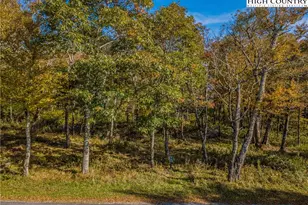 Lot 196 Green Cliffs Rd, Sugar Mountain, NC 28657 - Photo 1