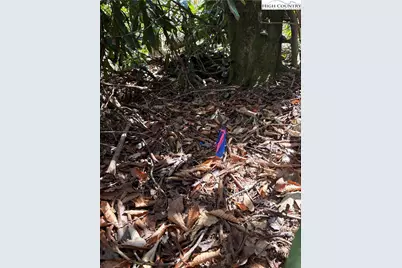 Tract 3 Mountain Vista Lane, Banner Elk, NC 28604 - Photo 6