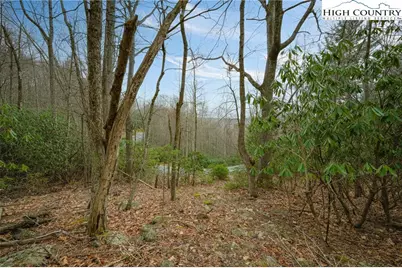 288 Poplar Drive, Beech Mountain, NC 28604 - Photo 16