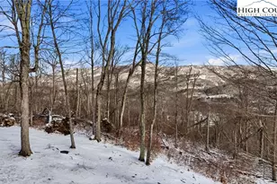 323 Sugar Tree Ln, Sugar Mountain, NC 28604 - Photo 42