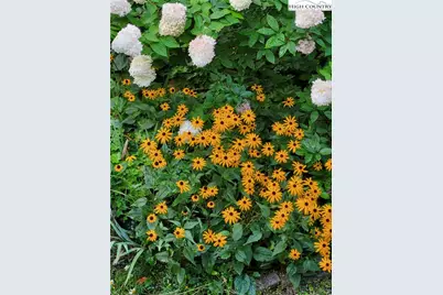 323 Sugar Tree Lane, Sugar Mountain, NC 28604 - Photo 50