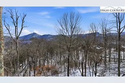 323 Sugar Tree Lane, Sugar Mountain, NC 28604 - Photo 38
