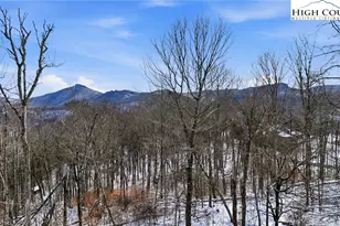 323 Sugar Tree Ln, Sugar Mountain, NC 28604 - Photo 38