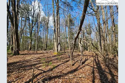 Tbd Mount Retreat Road, Roaring Gap, NC 28668 - Photo 14