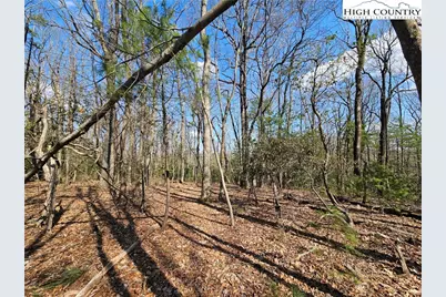 Tbd Mount Retreat Road, Roaring Gap, NC 28668 - Photo 12