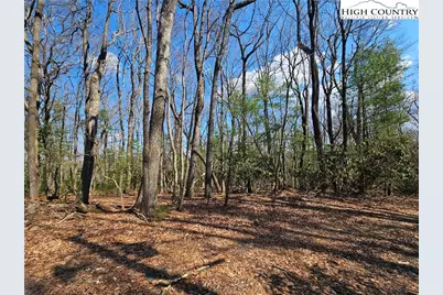 Tbd Mount Retreat Road, Roaring Gap, NC 28668 - Photo 10