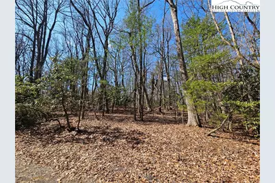 Tbd Mount Retreat Road, Roaring Gap, NC 28668 - Photo 4