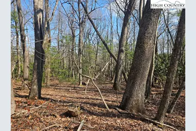 Tbd Mount Retreat Road, Roaring Gap, NC 28668 - Photo 16