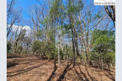 Tbd Mount Retreat Road, Roaring Gap, NC 28668 - Photo 8