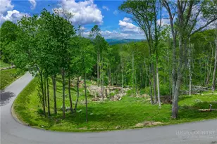 C-32 Eagles Nest Trail, Banner Elk, NC 28604 - Photo 1