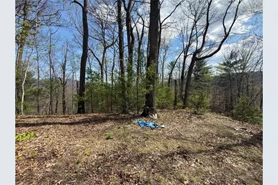 Tbd Lonesome Pine Trail, Butler, TN 37640 - Photo 2