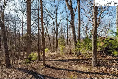 Tbd Lonesome Pine Trail, Butler, TN 37640 - Photo 24