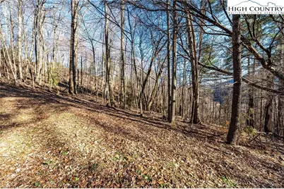Tbd Lonesome Pine Trail, Butler, TN 37640 - Photo 20