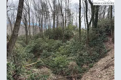 Tbd Wonderland Trail, Blowing Rock, NC 28605 - Photo 6
