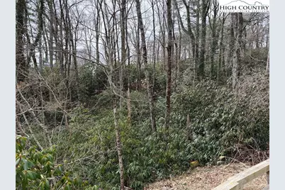 Tbd Wonderland Trail, Blowing Rock, NC 28605 - Photo 4