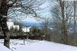 105 N Pinnacle Ridge Rd, Beech Mountain, NC 28604 - Photo 34