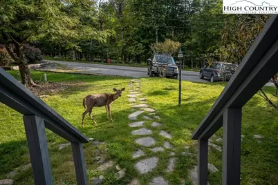 105 N Pinnacle Ridge Road #5, Beech Mountain, NC 28604 - Photo 28