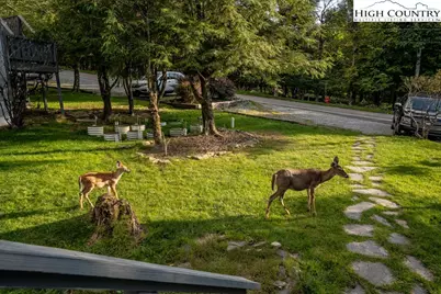 105 N Pinnacle Ridge Road #5, Beech Mountain, NC 28604 - Photo 30